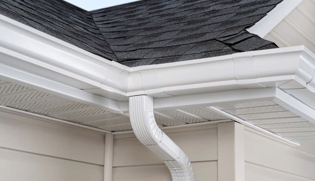Gutter Cleaning Companies Tampa FL